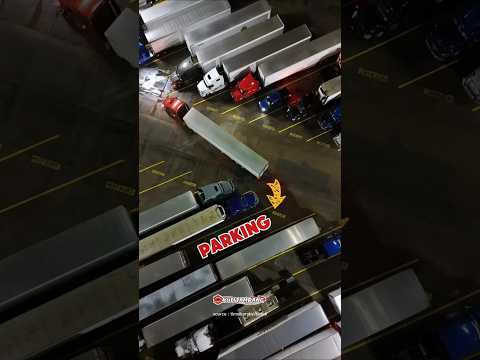 PROFESSIONAL TRUCK DRIVER PARKING SKILLS WILL AMAZE YOU?