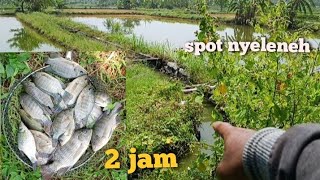 Download lagu Mancing di selokan kecil irigasi tambak ikan nya besar-besar dan cari ikan sisa panen di 2 empang mp3