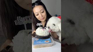 Download lagu TO THE DOG MINIMALIST 🐶🥳 mp3