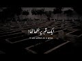 Ek Qabar Par Likha Tha Emotional Lines Status Urdu Lines Whatsapp Status