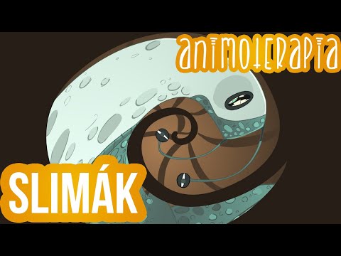 Animoterapia - 14 : Slimák