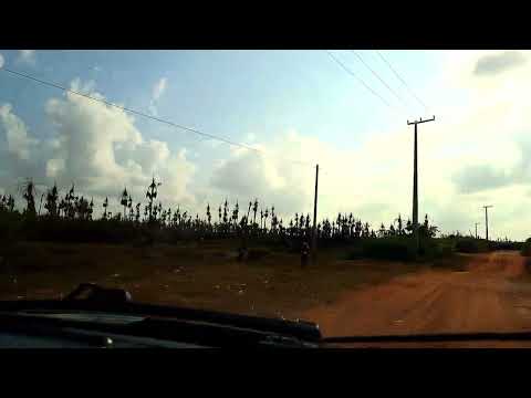 Mosquito de Amontada-CEARÁ!!