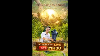 Download lagu Trầm Hương Toàn Thắng Đang Phát Trực Tiếp 21H30 - Agarwood mp3