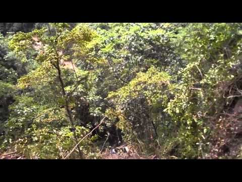 Bus Accident In Bolivia ( Bolivia's death road swallows a bus )