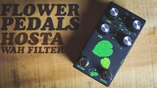Video thumbnail for DEMOS IN THE DARK: FLOWER PEDALS - HOSTA WAH FILTER // PEDAL DEMO by Demos In The Dark