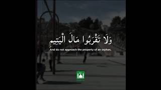 Download lagu Recitation of Surah Al Isra 17:34 by Mishary Kahf (English Translation) | Muslim Pro mp3