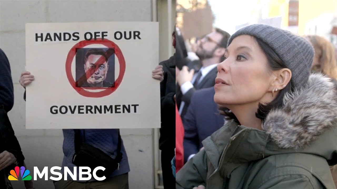 'Musk Must Go': Alex Wagner attends ‘Nobody Elected Elon’ rally at U.S. Treasury Department