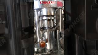 Tiger Nut Oil Extraction Machine | Tiger Nut Oil Press Machine