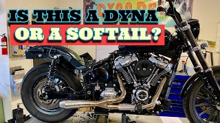 Download lagu M8 Softail - dyna swing arm conversion. More of the STREETRIDER saga. mp3 Download lagu M8 Softail - dyna swing arm conversion. More of the STREETRIDER saga. mp3