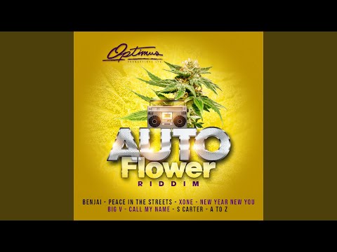 Peace in the Streets