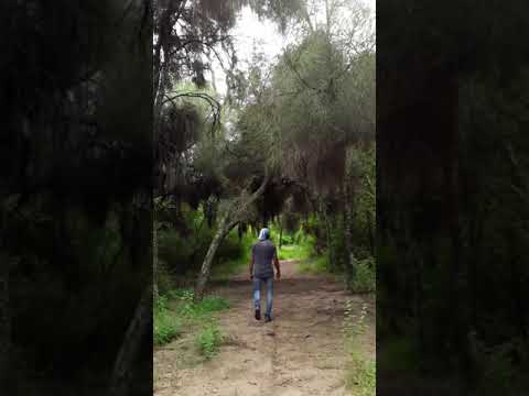 Quebracho Colorado.!😍