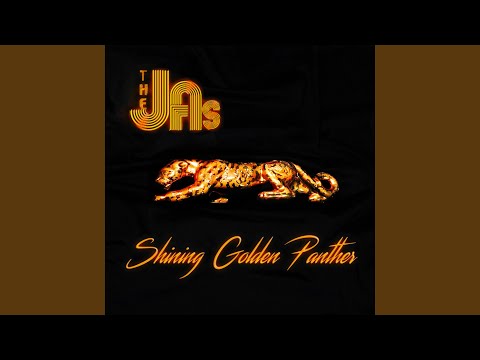 Tim Dyne's Assholarious Space Funk Odyssey