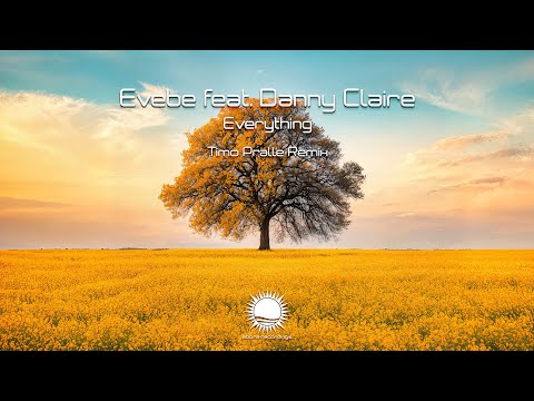 Evebe & Danny Claire - Everything (Timo Pralle Remix)