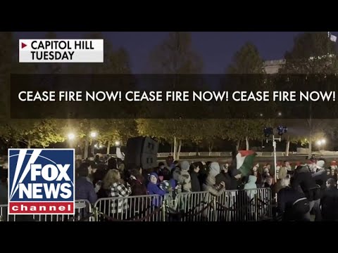 Pro-Palestinian protesters arrested during Capitol Hill tree lighting