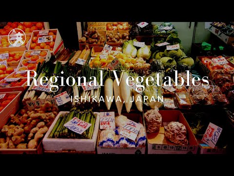 Regional Vegetables - For Tourism Ishikawa, JAPAN