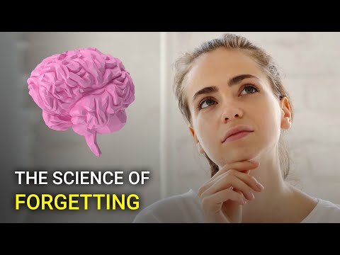 Why do humans forget things?