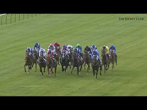 Sea The Stars (2009) 2000 Guineas