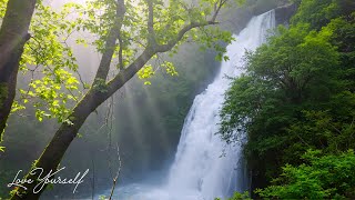 Музыка лечит сердце и сосуды🌿 Успокаивающая музыка восстанавливает нервную систему, расслабляет #2