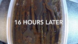 Time Lapse - Watching rust fall off using vinegar