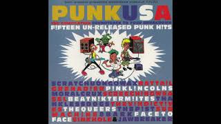 Various - Punk USA