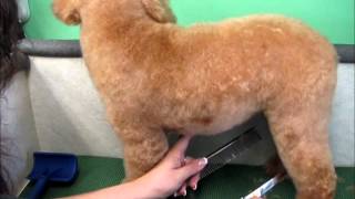 Hand Scissoring Part 2