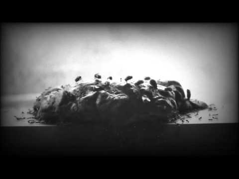 Sindicato do Peixe - Pedras Rolantes