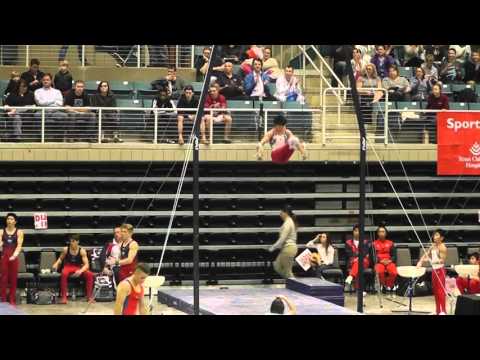 Kakeru Tanigawa 翔谷川 - Rings - 2016 RD761 Invitational