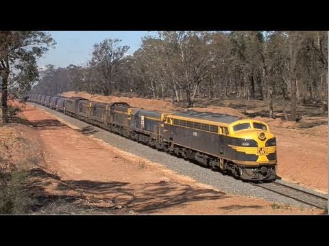 El Zorro grain train at Tarnagulla  Sat 02/10/10