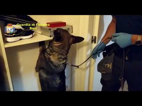 Corato, rapina al compro oro dal valore di 15mila euro: tre arresti