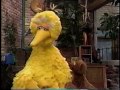 82 Sesame Street Telly The Mysterious Notes