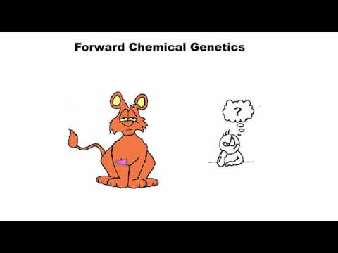 5-1 Forward Chemical Genetics
