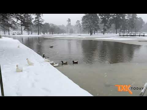 Texarkana Snow Day Wednesday, Feb. 17, 2021