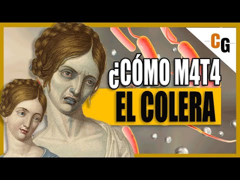 Cólera - La Enfermedad de las 7 Pandemias - Causas, Síntomas e Historia del Cólera - La Peste Azul
