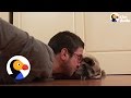 Family Wakes Blind Pug Up With Kisses The Dodo