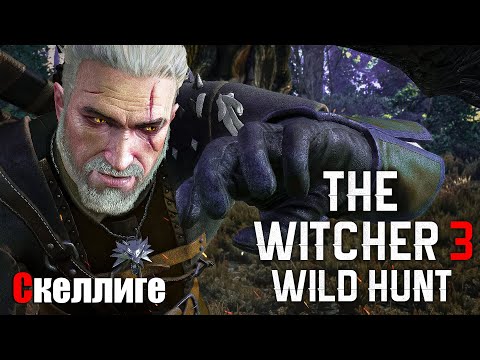 ВЫПОЛНЯЕМ ЗАДАНИЯ  ● The Witcher 3: Wild Hunt #20
