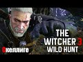 ВЫПОЛНЯЕМ ЗАДАНИЯ  ● The Witcher 3: Wild Hunt #20
