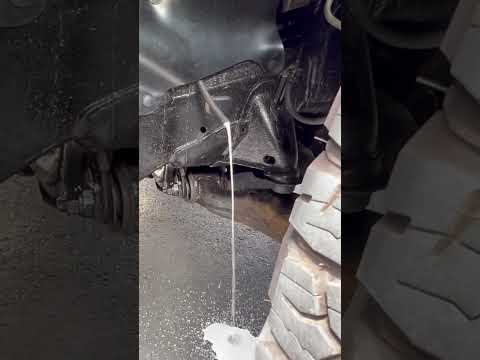 Your A/C Evaporator gathers mold and mildew, here’s a quick and easy fix!! #savemoney #diy #easyfix