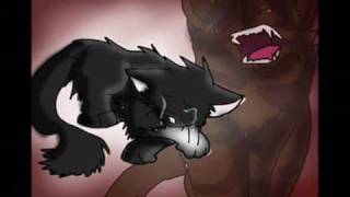 Scourge- Flawed Design(Remix)