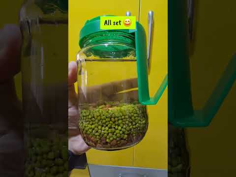 Sprouts Maker Glass Jar #shorts #sprouts #sproutrecipe #sproutssaladrecipe #sproutschaat