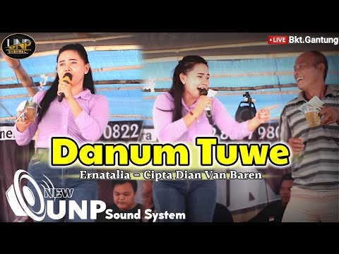 ERNATALIA  - DANUM TUWE CIPTA DIAN VAN BAREN- DI DUSUN BUKIT GANTUNG (REMIX)
