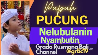 Download lagu NYAMBUTIN NELUBULANIN PUPUH PUCUNG by. W. Grado@grbc19 mp3 Download lagu NYAMBUTIN NELUBULANIN PUPUH PUCUNG by. W. Grado@grbc19 mp3