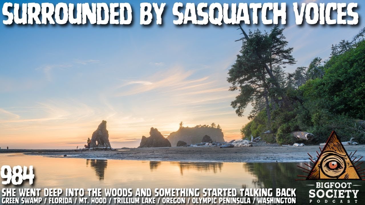 Researchers Trigger Massive Bigfoot Vocalization Event In The Olympic Peninsula
