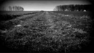 For Blue Skies by Strays don´t sleep