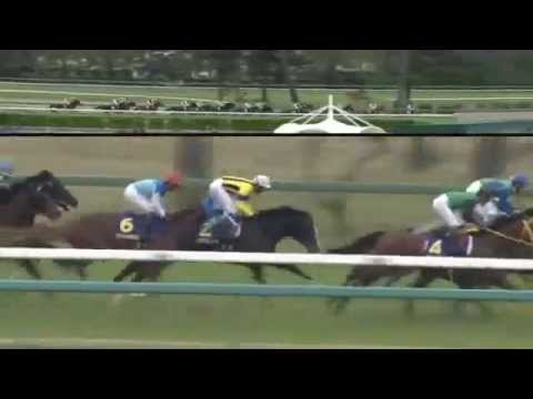2014.04.20 Satsuki Sho (Japanese 2000 Guineas) - Isla Bonita