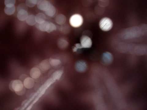 matteo Mettifogo bailaor en bahia salada