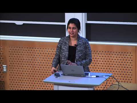 Lecture 20: Flying at Night