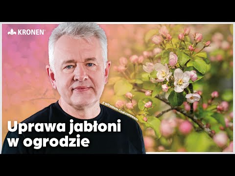 KRONEN 2025 - Uprawa jabłoni w ogrodzie