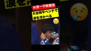 水原一平解雇後に大谷翔平がベンチで涙を浮かべる。開幕戦ドジャースvsパドレス