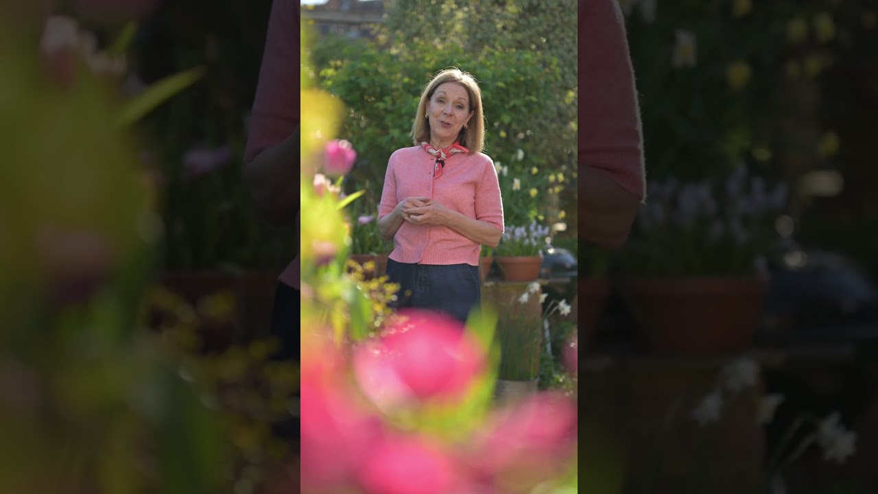 Lessons in Design: Jo Thompson introduces the cottage garden