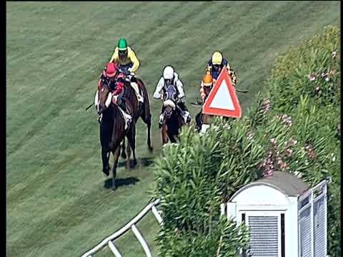 Galoppo 18/06/2019 - 1ª corsa